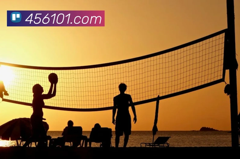 企业概况